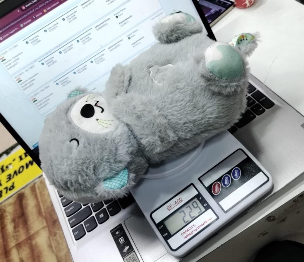 Breathing Teddy Bear with Music